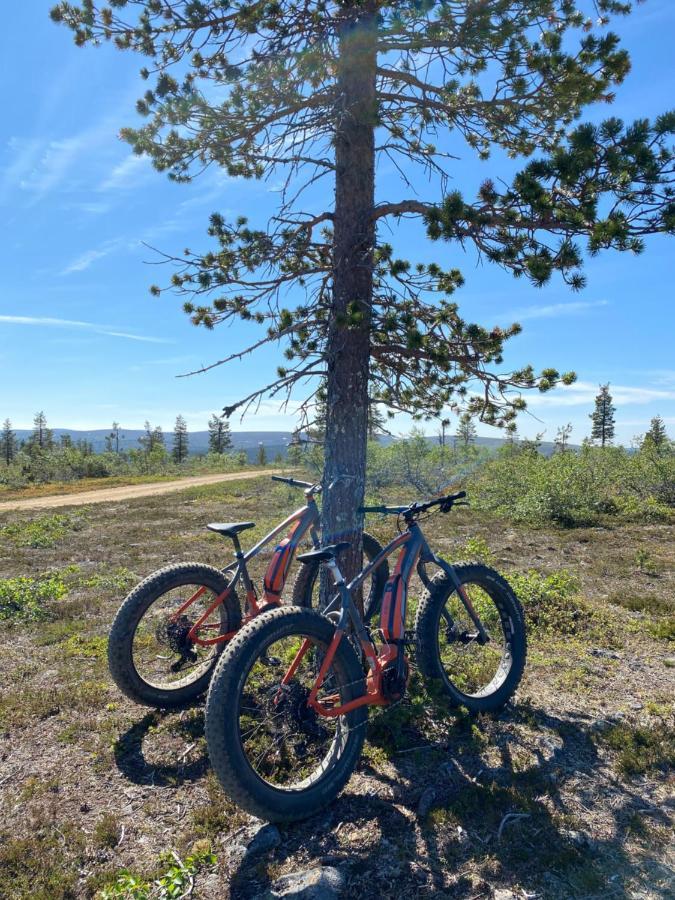 Suivakko Saariselkä